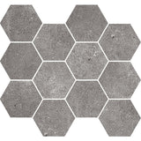 Paradigm Hexagon